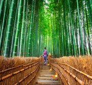 Day 4: Wonders Of Japan
