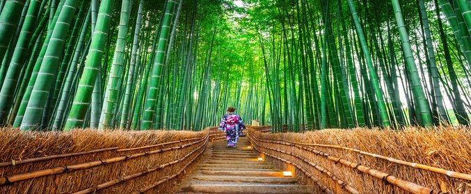 Wonders of Japan