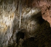 Auckland – Waitomo Glow Worm Caves Tour – Rotorua