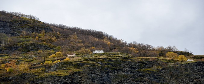 Autumn Season Norway in a Nutshell with Arctic Norway