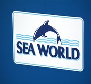 Gold Coast - Sea World Theme Park