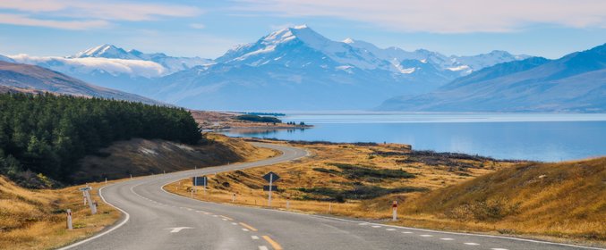 Southern Splendor's - New Zealand