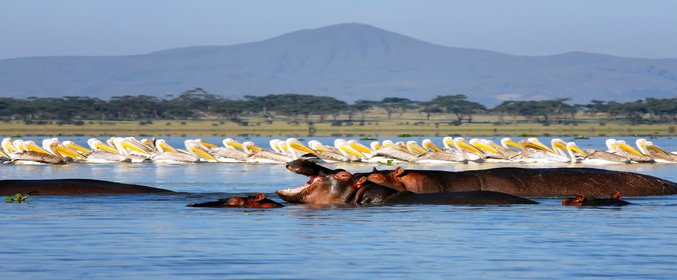 Kenya at Leisure — photo 3