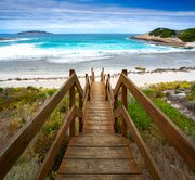 Day tour to Rottnest Island