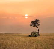 Lake Manyara National Park – Serengeti National Park
