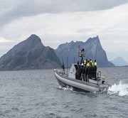 Senja Wildlife & Fjord Safari