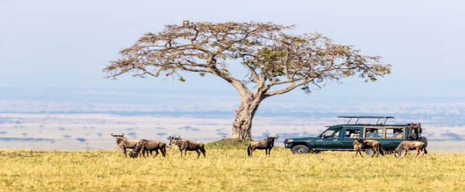 Magical Kenya
