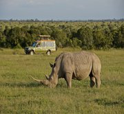 Aberdare National Park to Ol Pejeta Conservancy